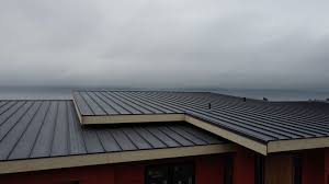 Sheet Metal Roofing in Baltimore, MD